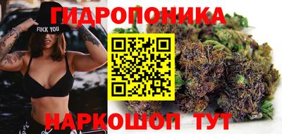 прущие грибы Свободный