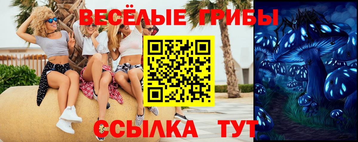Псков  Псилоцибиновые грибы Cubensis  Псилоцибиновые грибы ЛСД  Вход с VPN 